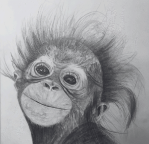 Learn how to draw in pencil. Join our art classes to learn graphite drawing.
